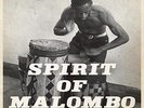 Spirit of Malombo by Next Stop Soweto Vinyl 2LP Record