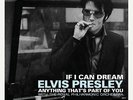 ELVIS PRESLEY 