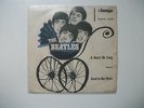 THE BEATLES IT WON'T BE LONG.AMIGA