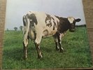 PINK FLOYD Atom Heart Mother 1973 UK HARVEST 1st *QUADRAPHONIC* PRESS 1/G 1/G NM