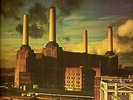 Pink Floyd Vinyl LP Columbia Records,1977, JC-34474, Animals   Near Mint- 