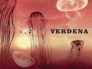 VERDENA - SOLO UN GRANDE SASSO -2 LP VINYL NUOVO SIGILLATO - EDIZIONE LIMITATA