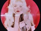 CICCIOLINA Angelyne ?Sexy Stranger Rare 12