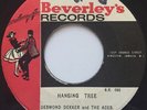 Desmond Dekker & The Aces 