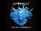 Shpongle Are You Shpongled Double LP Album