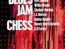 VARIOUS ARTISTS**BLUES JAM AT CHESS (180G/LIMITED EDITION/RM)**2 VINYL SET