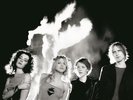 HOLE**CELEBRITY SKIN (180 GRAM)**VINYL