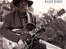 APO | Jimmy Rogers - Blue Bird 180g 2LPs (45rpm) NEU