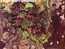 H.P. Lovecraft (2011, Vinyl NEW)