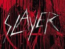 #32718571 Slayer - Vinyl Conflict - [11 VINYL LP] Nieuw
