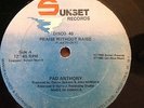 PAD ANTHONY LOVIN STYLEE /  PRAISE WITHOUT RAISE 
