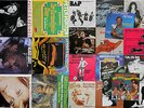 ***   50 Singles NDW Liedermacher ALPENROCK im Cover - DANZER Ambross REISER ..