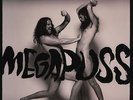 Megapuss (Devendra Banhart & Greg Rogove) - Surfing Vinyl US LP