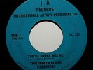 THE 13TH FLOOR ELEVATORS 