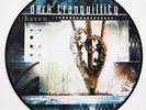 Dark Tranquillity - Haven PIC-LP first press