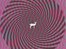 Deerhunter Cryptograms/Fluorescent Grey 2x Vinyl LP Record indie rock album  NEW