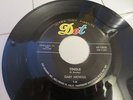 1958 ROCKABILLY TEEN 45 GARY NICHOLS RAY STANLEY EDDIE COCHRAN on DOT M-