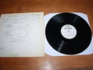 Peter Ivers Band / USA LP Test Pressing / Terminal Love / acid psych rock