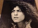 Tyrannosaurus Rex (T Rex) - Beard of Stars - UK Regal Zonophone LP and insert