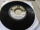 FIRE FACTS / EARTH IN TURMOIL    RARE 80'S DIGI ROOTS REGGAE VG++