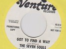 The Seven Souls 