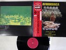 JOHN TCHICAI AND CADENTIA NOVA DANICA AFRODISIACA MPS YS-2404-MP Japan OBI LP