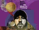 Badly Drawn Boy - It's What I'm Thinking (Part One Photographing Sno [Vinyl New]