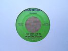 EPITOME OF SOUND - YOU DON'T LOVE ME - RARE 70s RE-PRO ON SANDBAG RECORDS