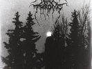Panzerfaust [12 inch Analog] Darkthrone LP Record