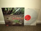 FAT MATTRESS Selftitled LP Polydor 1969 UK 1st Press EX