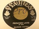 Nairobi Sisters Promised Land Rare Killer Roots 7