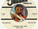 JACKIE LEE COCHRAN  I Wanna See You ROCKABILLY BOPPER PROMO 45 RPM RECORD VG++