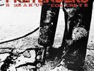 PRETENDERS-BREAK UP THE CONCRETE (2X10