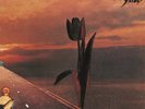 The Pretty Things - Parachute (Limited Edition) Vinyl LP Madfish NEW