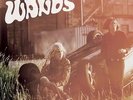 THE WANDS-THE DAWN-VINYL LP FUZZ CLUB NEW