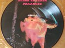 Black Sabbath ?– Paranoid Vinyl Picture Disc NEP 6003 Import Near Mint