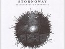 STORNOWAY-BEACHCOMBERS WINDOWSILL-VINYL LP 4AD NEU