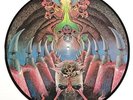 Monstrosity - Imperial Doom PIC-LP 1992 first press NB 055