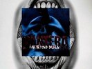 PANTERA - 1994 - Promoplakat - Far Beyond Driven - Poster - B