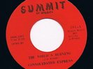 CONSOLIDATED EXPRESS the world's burning / flipside HEAR MINT- 60s GARAGE psych