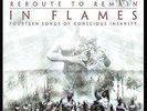 IN FLAMES - REROUTE TO REMAIN (RE-ISSUE 2014)(VINYL)