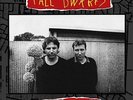THE TALL DWARFS   WEEVILLE (VINYL) FLYING NUN REISSUE (BRAND NEW)