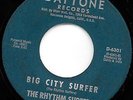The Rhythm Surfers 45 on Daytone rec Nice VG+   SURF