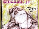 Dinosaur Jr. - You'Re Living All Over Me [Vinyl New]