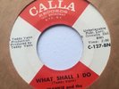 Frankie And The Classicals 45 Calla What Shall I Do