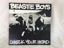 Beastie Boys Check Your Head 12