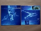 Catherine Wheel Chrome Vinyl LP 1st Press