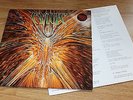 Cynic  Focus LP MINT  LOOKS  UNPLAYED