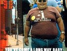 You've Come A Long Way Baby [VINYL] Fatboy Slim Vinyl