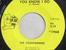 The Countdowns - You Know I Do / Strange Are The Shadows, Vinyl, 45rpm, VG+